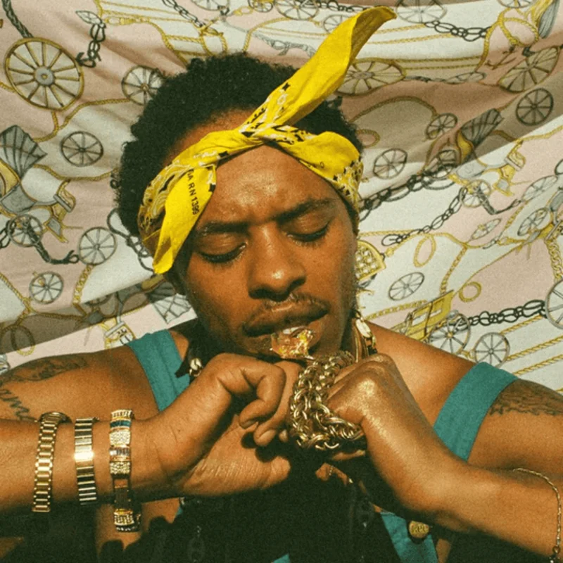Pink Siifu - Ensley (Black Color) Vinyl LP