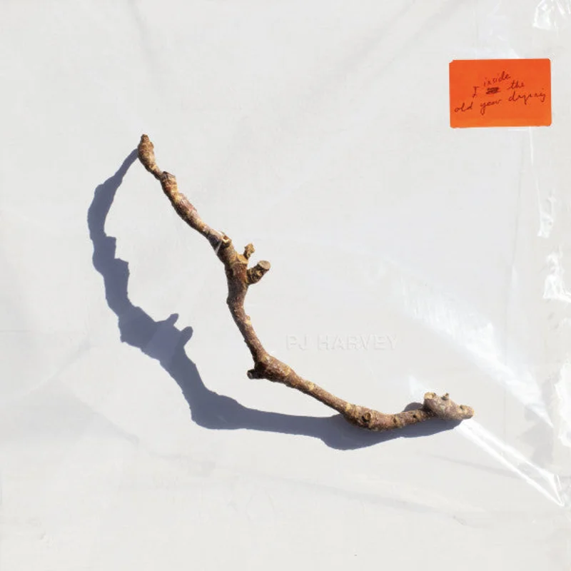 PJ Harvey - I Inside The Old Year Dying (Arrives in 21 Days)