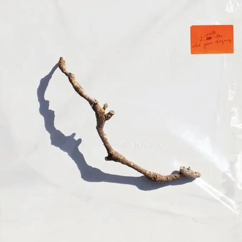 PJ Harvey - I Inside the Old Year Dying - Vinyl Record