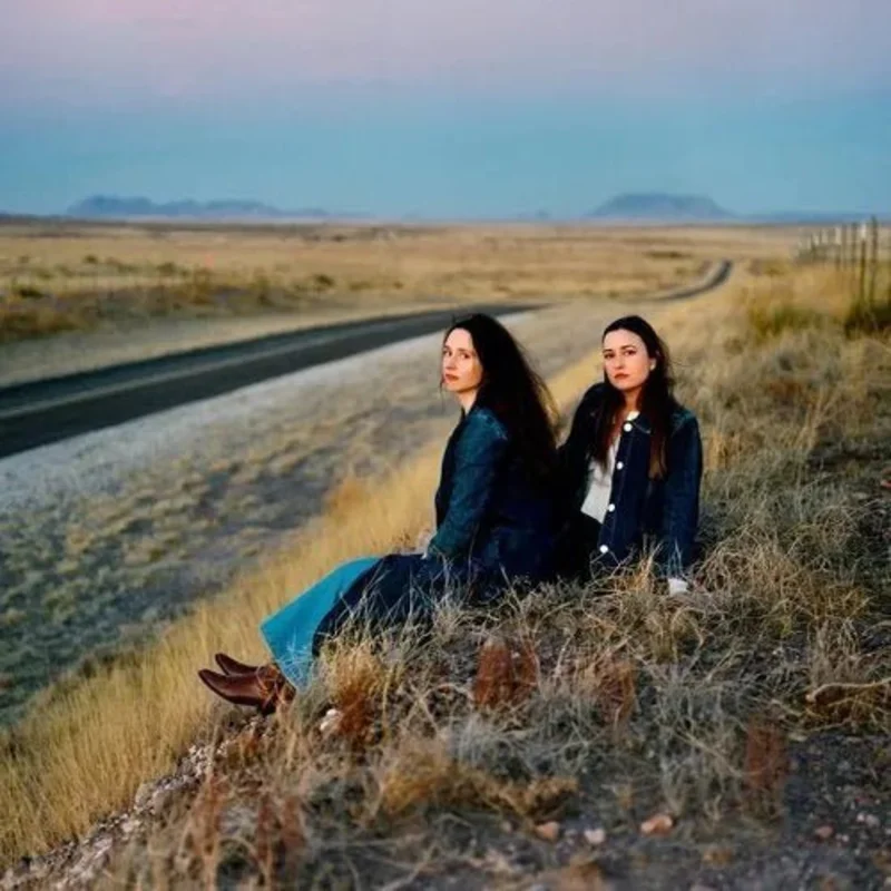 Plains, The  - I Walked With You a Ways - Vinyl Record