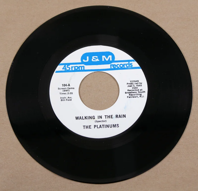 Platinums, The - Walking In The Rain/Blanche
