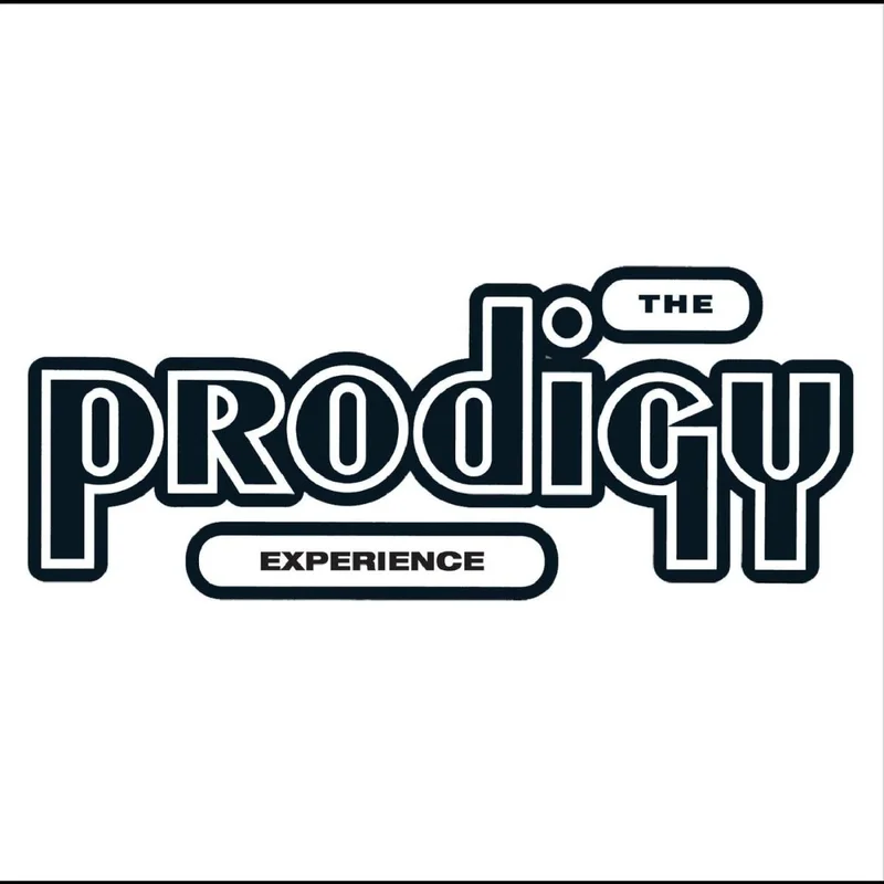 Prodigy, The - Experience VinylLP