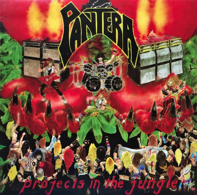 Projects In The Jungle