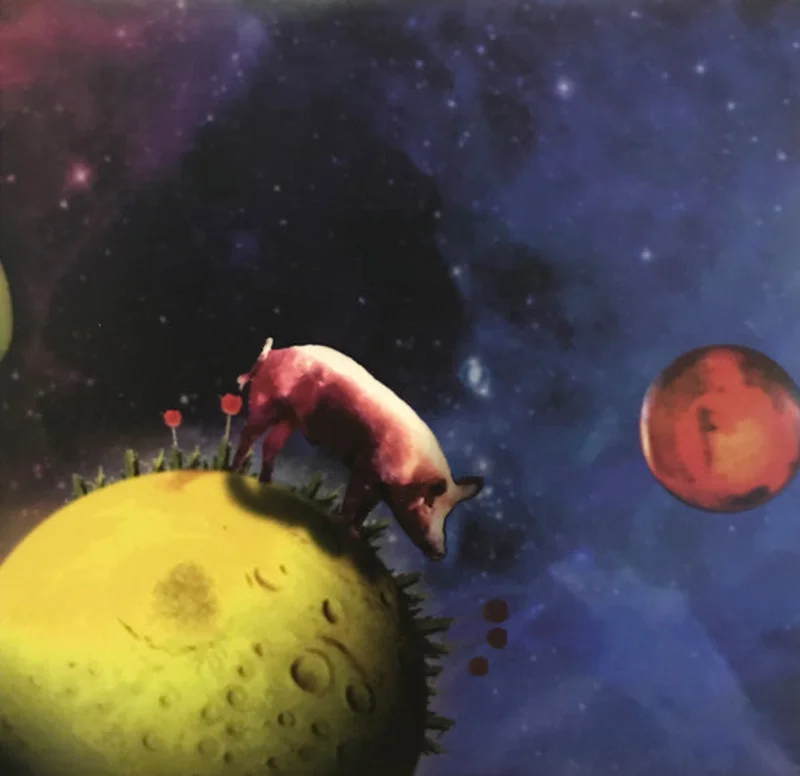 Prot(o)