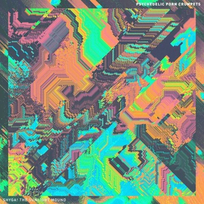 Psychedelic Porn Crumpets - Shyga! The Sunlight Mound (Black) Vinyl LP