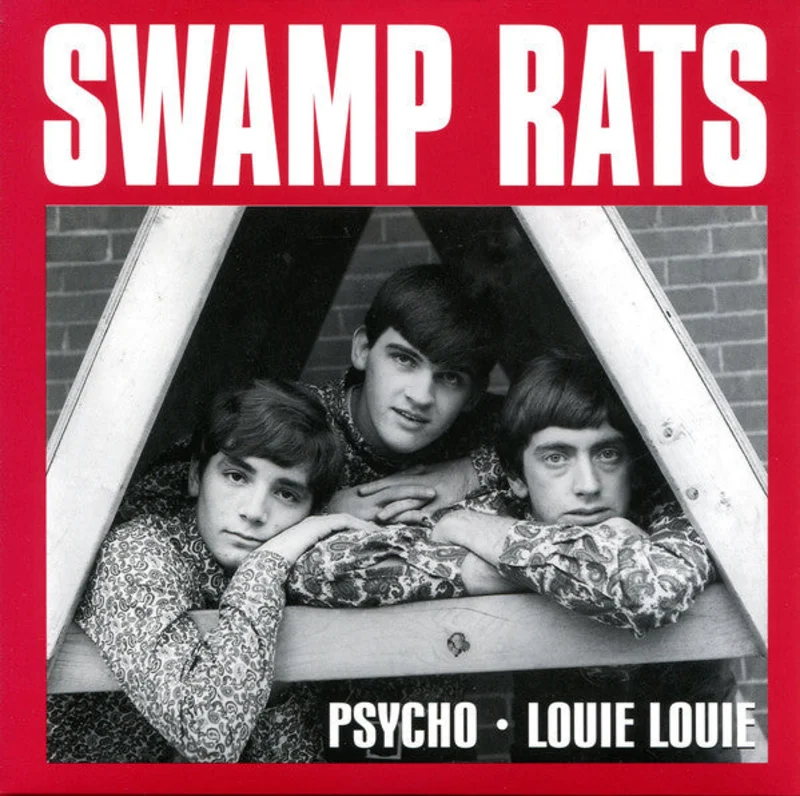 Psycho / Louie Louie