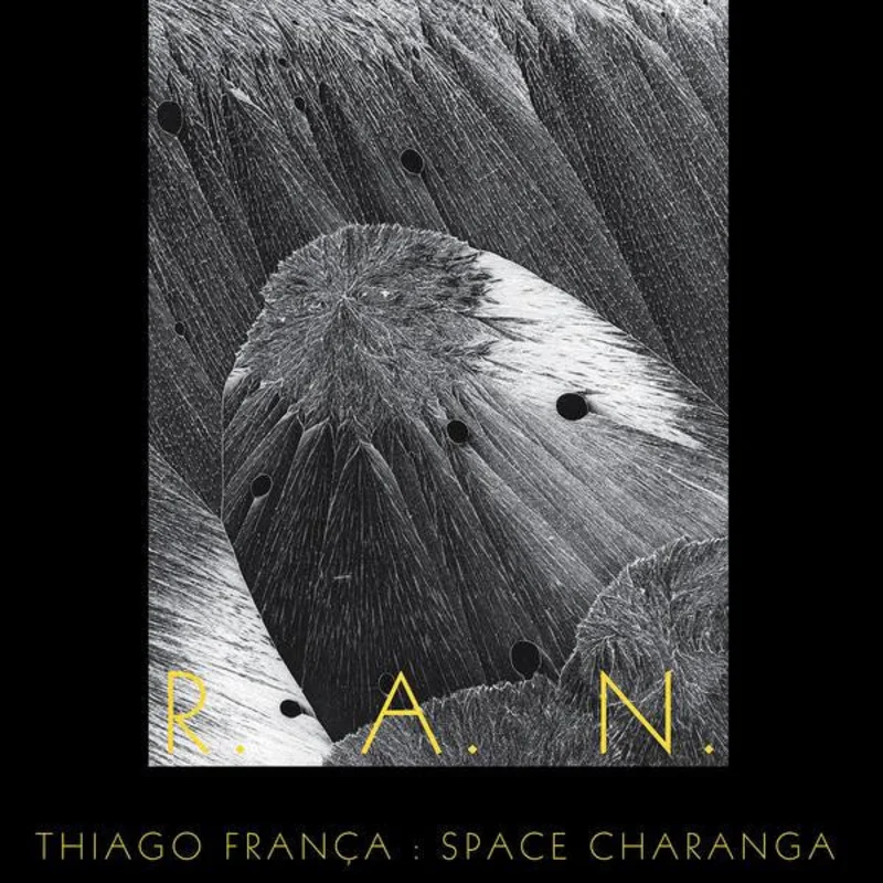 R.A.N.