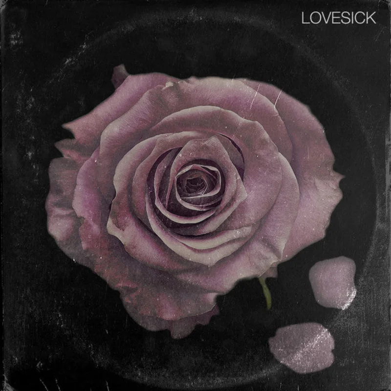 Raheem DeVaughn and Apollo Brown - Lovesick ( (Used Vinyl - NM) ND Marketplace
