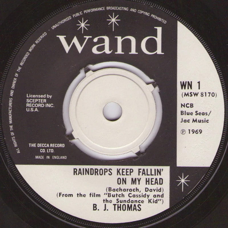 Raindrops Keep Fallin' On My Head