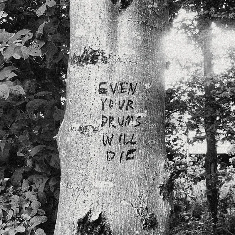 Richard Swift - Even Your Drums Will Die: Live at Pendarvis Farm 2011 - Vinyl Record