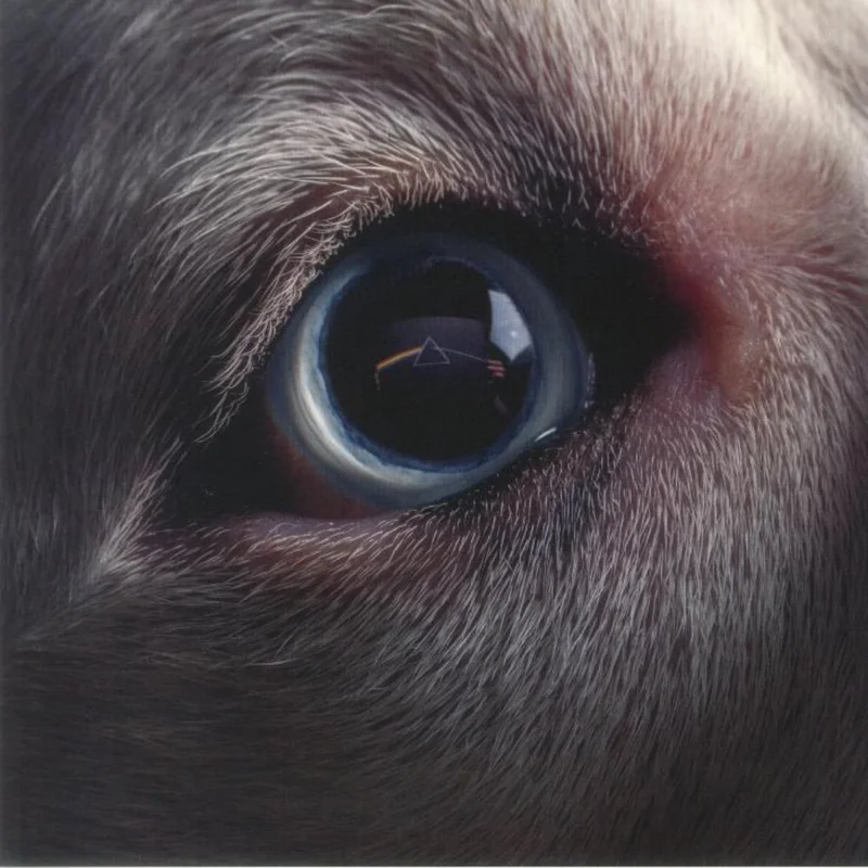 Roger Waters - The Dark Side Of The Moon Redux (Arrives in 21 days)