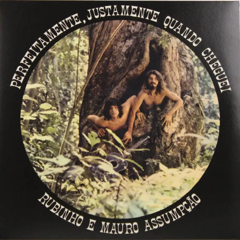 Rubinho E Mauro Assumpo - Perfeitamente, Justamente Quando Cheguei (Mr Bongo) (Arrives in 30 days)