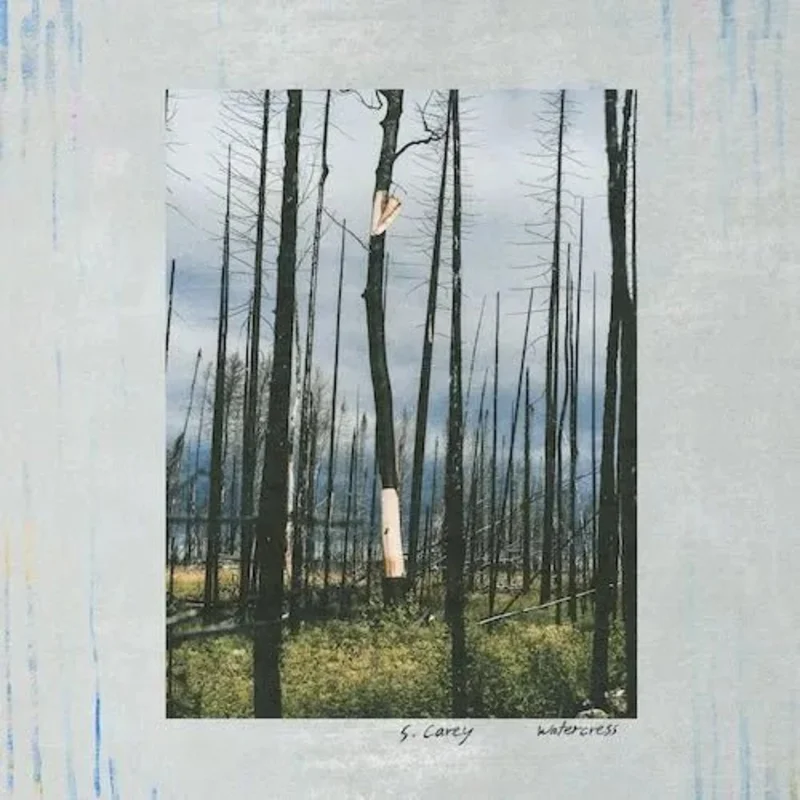 S. Carey - Watercress - 12" EP Vinyl Record