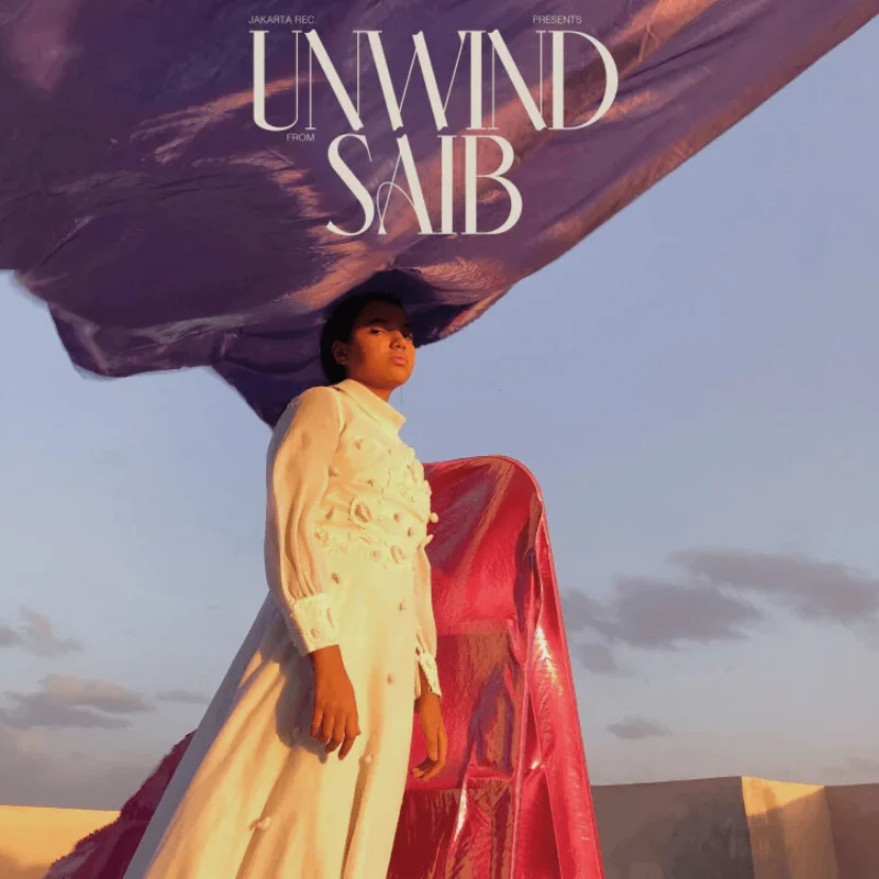 Saib - Unwind Vinyl LP