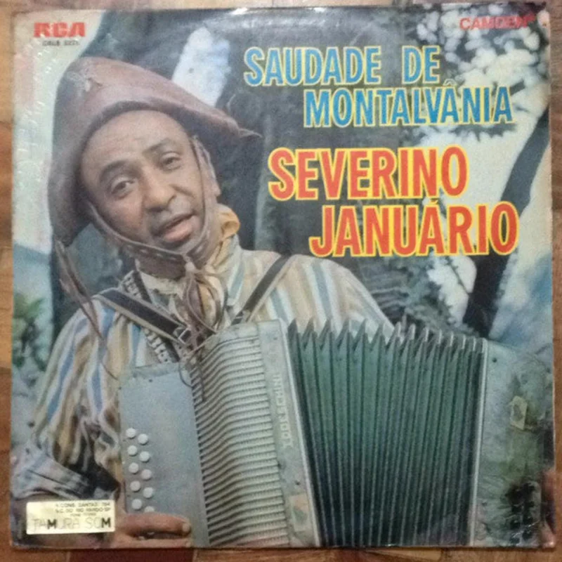 Saudade De Montalvnia