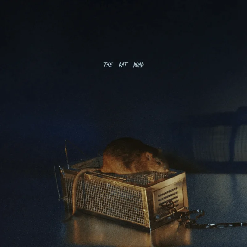 SBTRKT - The Rat Road Vinyl LP