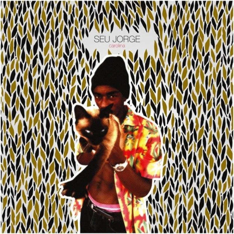 Seu Jorge - Carolina