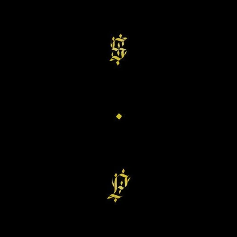 Shabazz Palaces - Black Up (Gold Color) Vinyl LP