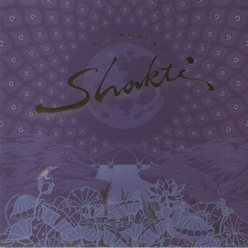 Shakti - This Moment (Quick Ship)
