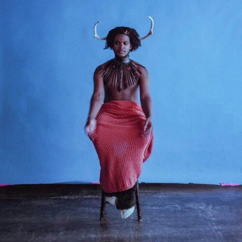 Shamir - Heterosexuality Vinyl LP