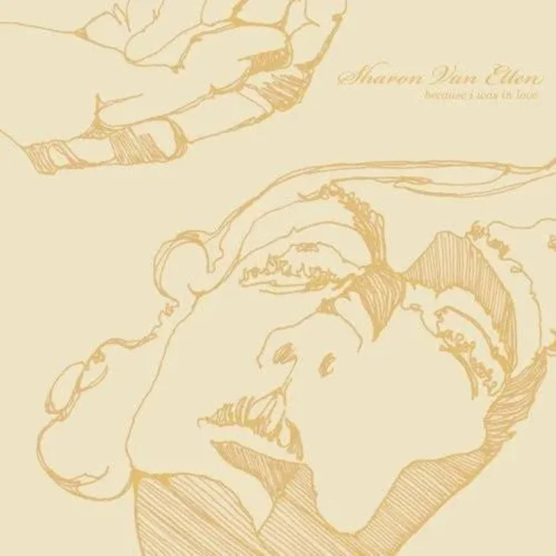 Sharon Van Etten- Because I Was in Love Vinyl Record