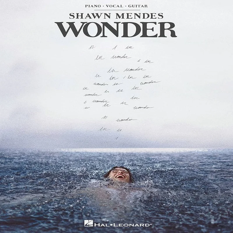 Shawn Mendes - Wonder ( (Used Vinyl - NM) ND Marketplace