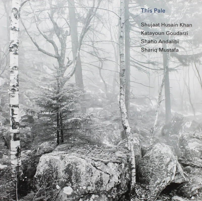 Shujaat Husain Khan - This Pale (Arrives in 4 days)