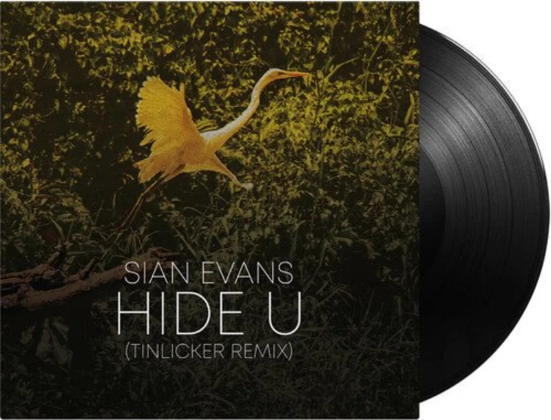 Sian Evans (Kosheen) / Tinlicker & Helsloot - Hide U (tinlicker Remix) / Because You Move Me 12" Vinyl