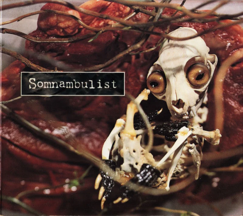 Somnambulist