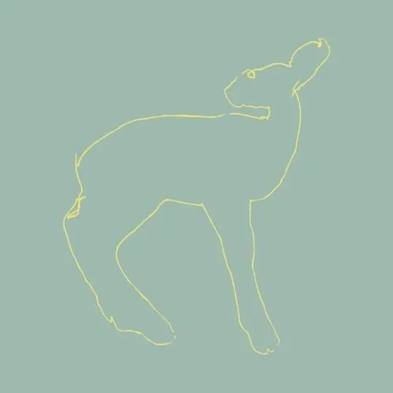 Songs: Ohia - Hecla & Griper (Reissue) - Vinyl Record
