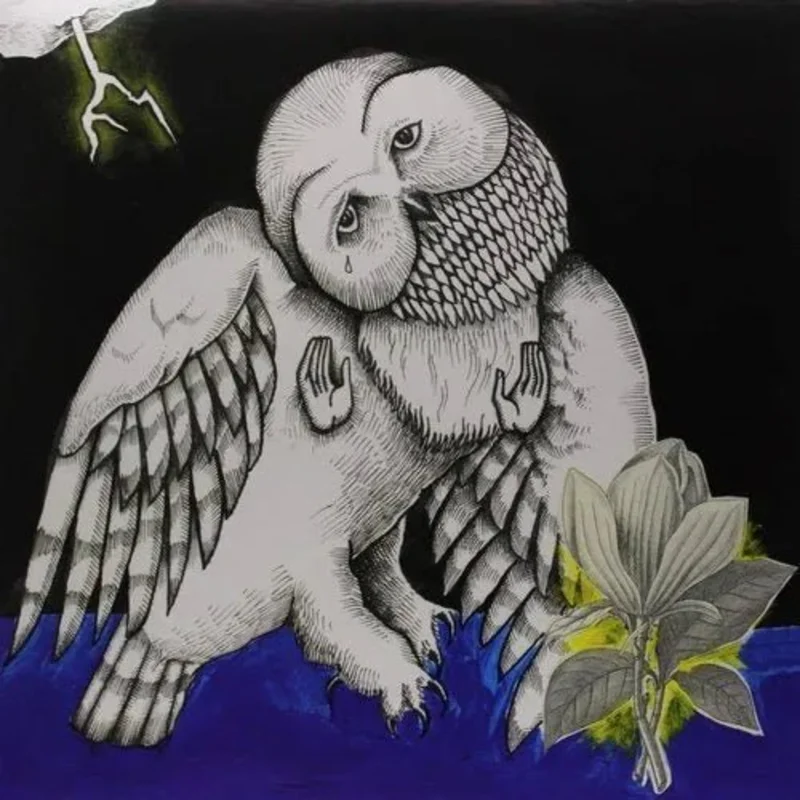 Songs: Ohia - Magnolia Electric Company Co. (Deluxe 2xLP Reissue)
