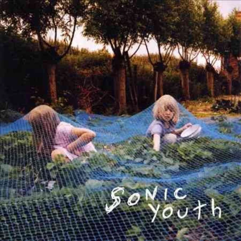 Sonic Youth Murray Street