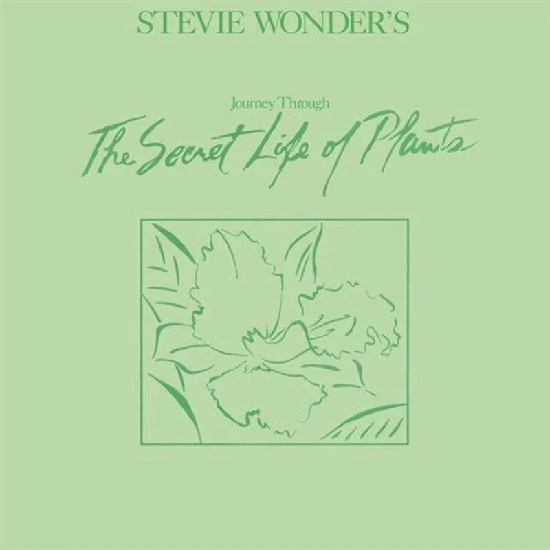 Stevie Wonder - Journey Through The Secret Life of Plants - 2LP Vinyl Record
