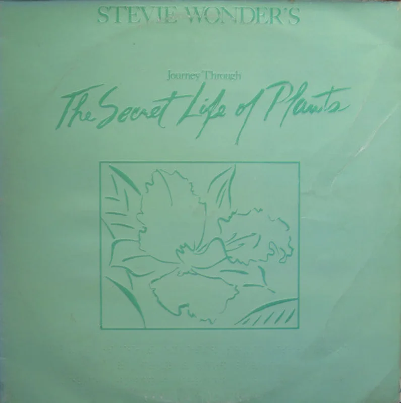 Stevie Wonder's Journey Through The Secret Life Of Plants