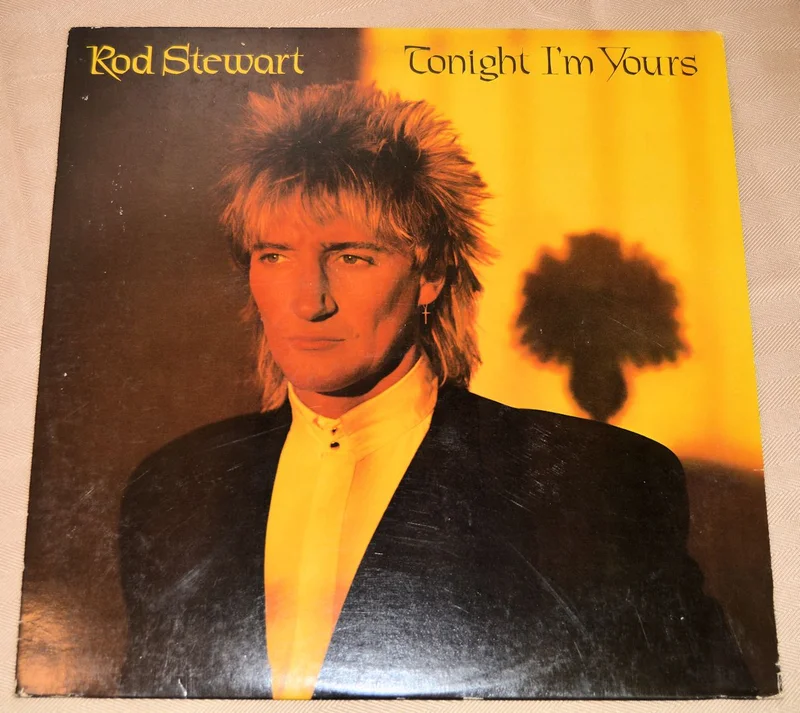 Stewart, Rod - Tonight I'm Yours