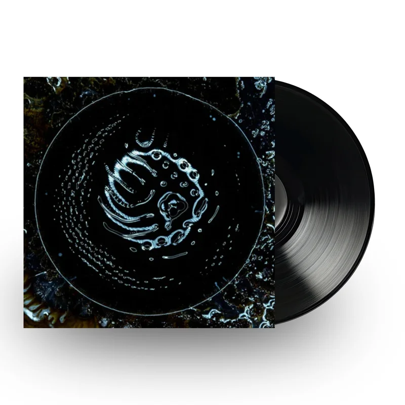 Stonus - Stonus