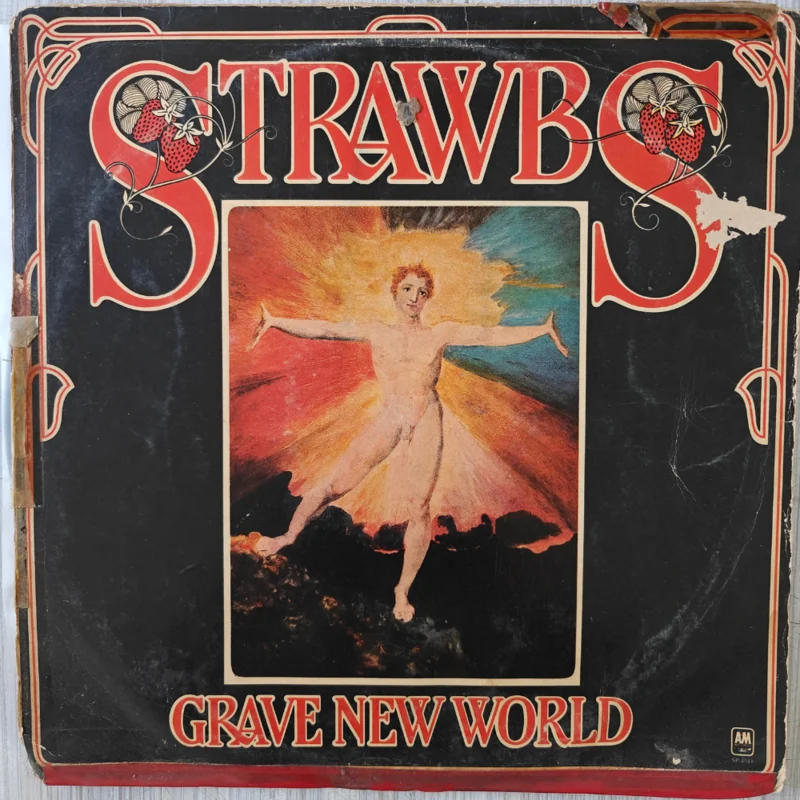 Strawbs - Grave New World (Indian Pressing) ( (Used Vinyl - VG) PJ Marketplace