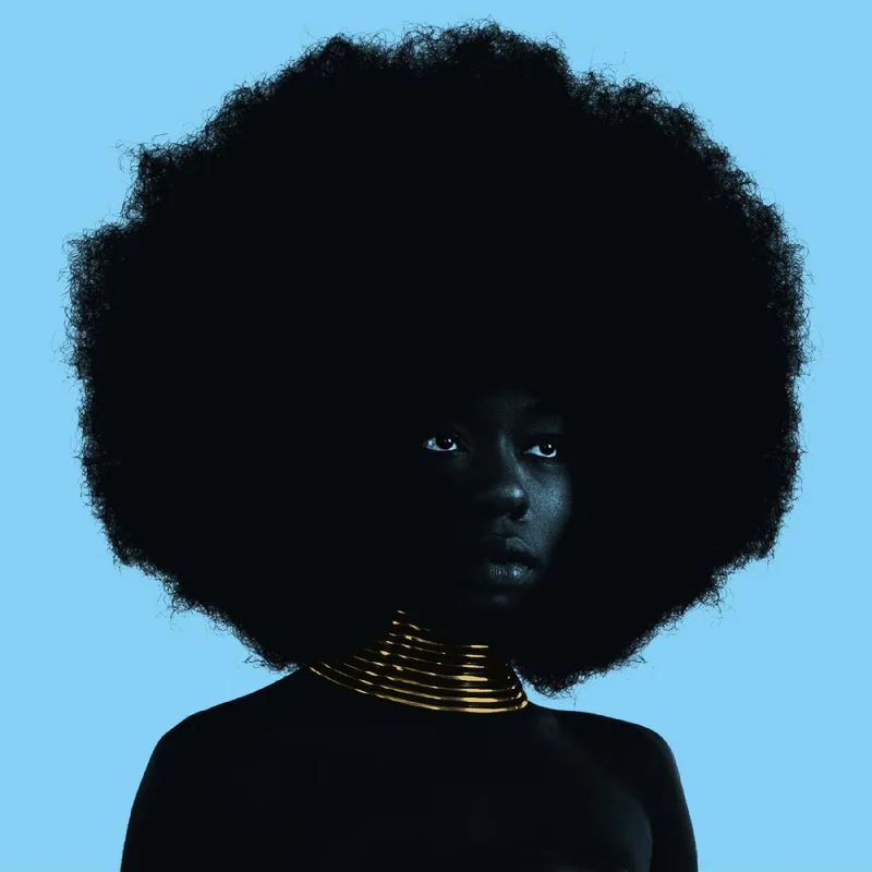 Sudan Archives - Sink Vinyl LP