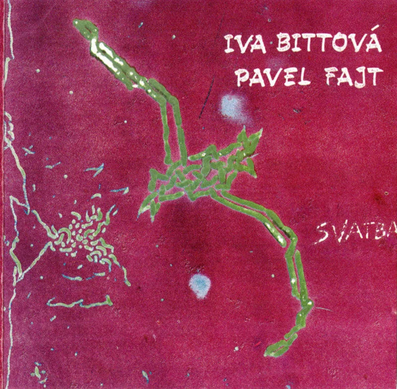 Svatba