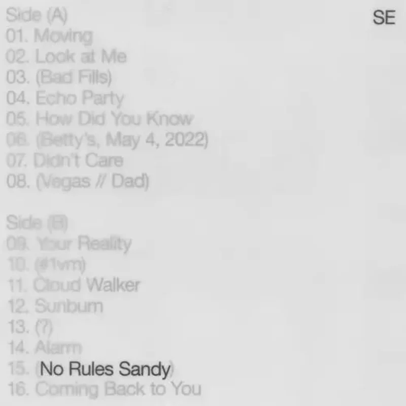 Sylvan Esso - No Rules Sandy - Tiger's Eye Color Vinyl