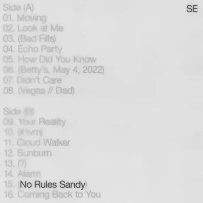 Sylvan Esso - No Rules Sandy - Vinyl Record