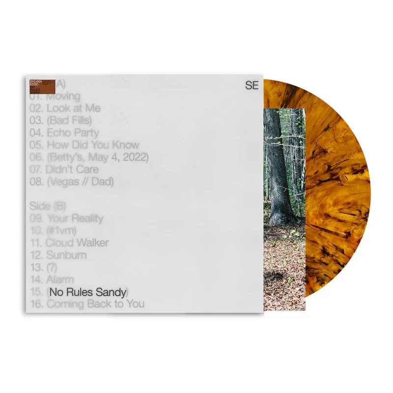 Sylvan Esso - No Rules Sandy