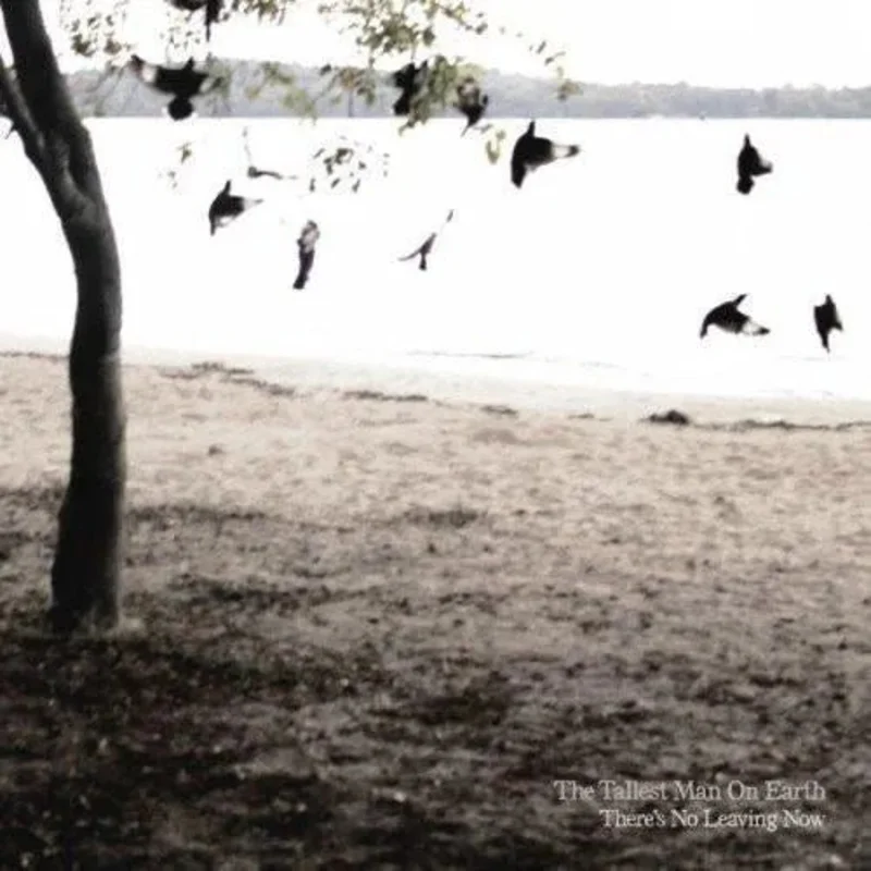 Tallest Man on Earth, The - There's No Leaving Now Vinyl Record