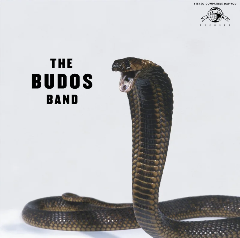 The Budos Band - The Budos Band III/3 Vinyl LP