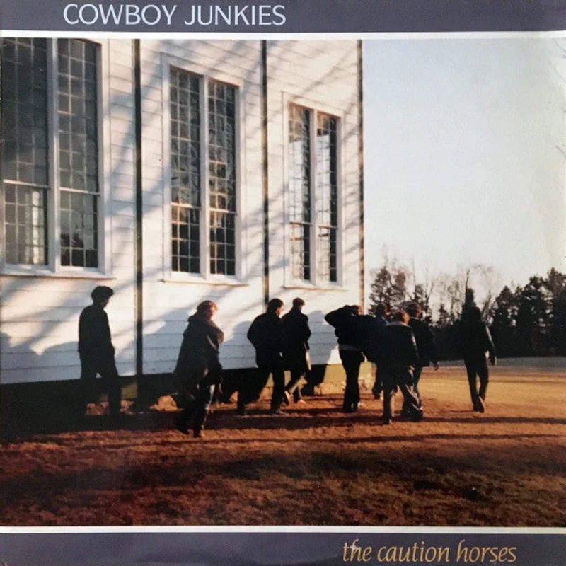The Caution Horses
