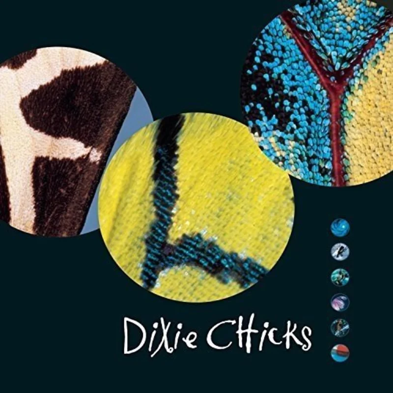 The Chicks - Fly Vinyl LP