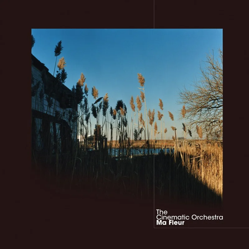 The Cinematic Orchestra - Ma Fleur (Ninja Tune) (Arrives in 30 days)