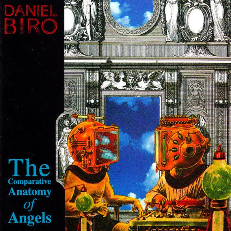 The Comparative Anatomy Of Angels