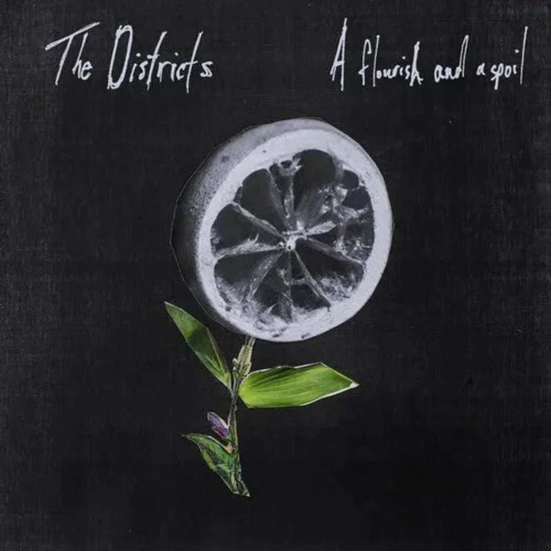 The Districts - A Flourish and a Spoil - Vinyl Record