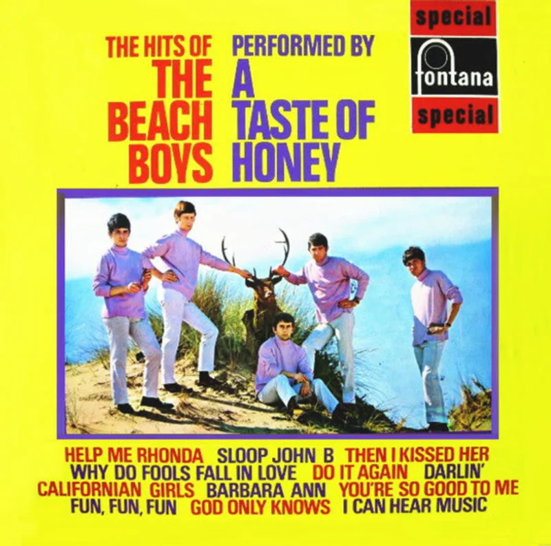 The Hits Of The Beach Boys